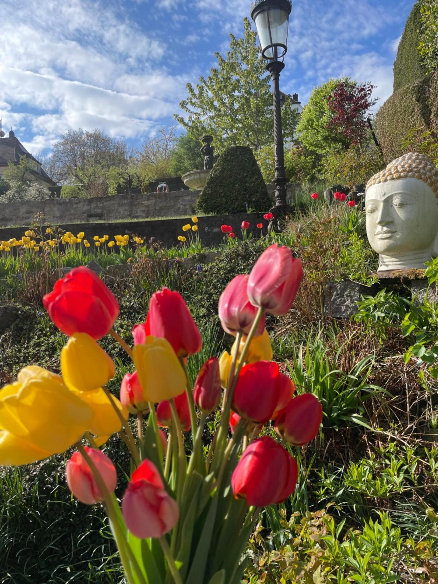 Schoenste Location In Wuerzburg Bagian luar foto